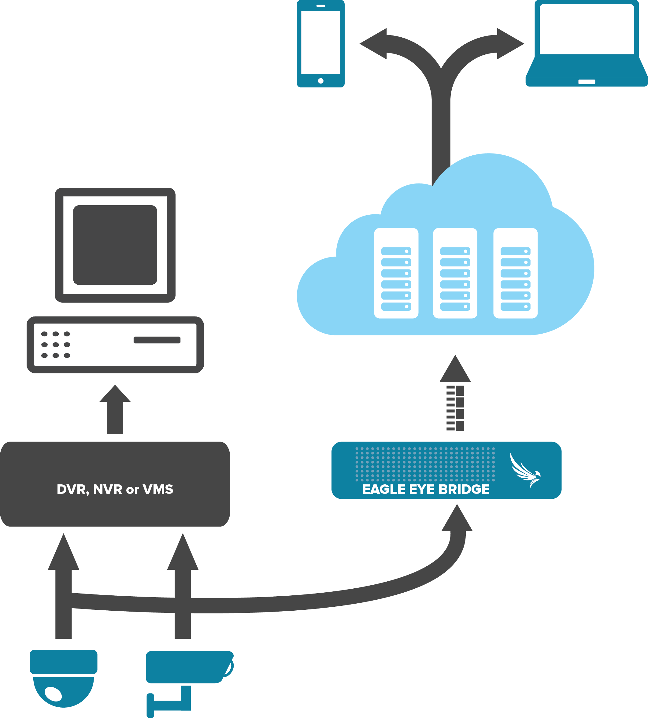 eagle-eye-networks-login-lavirt